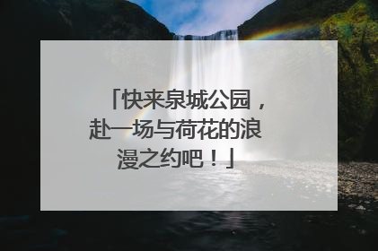 快来泉城公园，赴一场与荷花的浪漫之约吧！