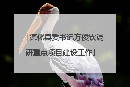 德化县委书记方俊钦调研重点项目建设工作