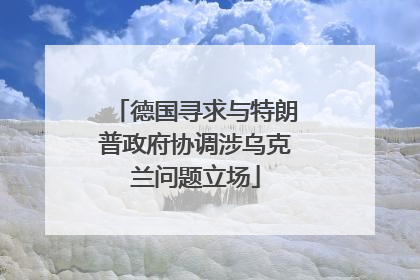 德国寻求与特朗普政府协调涉乌克兰问题立场