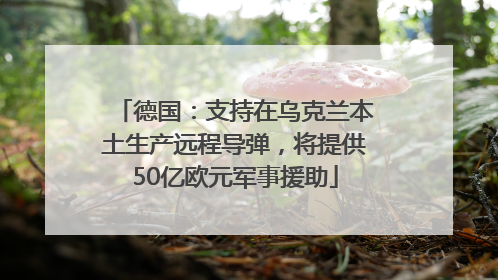 德国：支持在乌克兰本土生产远程导弹，将提供50亿欧元军事援助