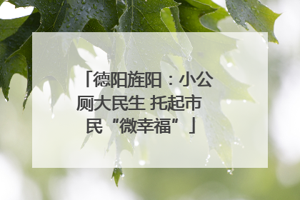德阳旌阳：小公厕大民生 托起市民“微幸福”