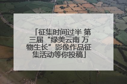 征集时间过半 第三届“绿美云南 万物生长”影像作品征集活动等你投稿