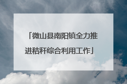 微山县南阳镇全力推进秸秆综合利用工作