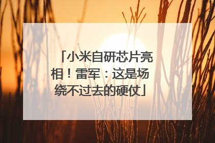 小米自研芯片亮相！雷军：这是场绕不过去的硬仗