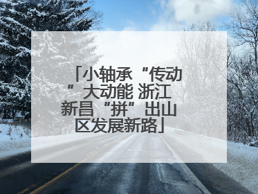 小轴承“传动”大动能 浙江新昌“拼”出山区发展新路