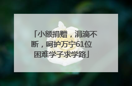 小额捐赠，涓滴不断，呵护万宁61位困难学子求学路