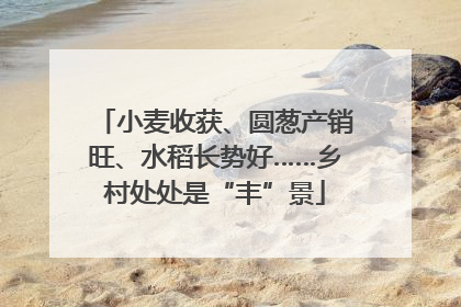 小麦收获、圆葱产销旺、水稻长势好……乡村处处是“丰”景