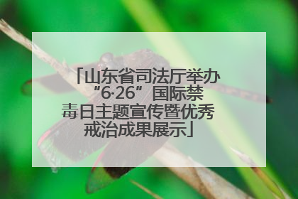 山东省司法厅举办“6·26”国际禁毒日主题宣传暨优秀戒治成果展示