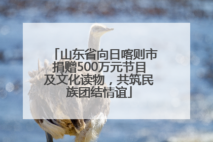 山东省向日喀则市捐赠500万元节目及文化读物，共筑民族团结情谊