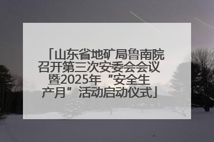 山东省地矿局鲁南院召开第三次安委会会议暨2025年“安全生产月”活动启动仪式