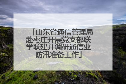 山东省通信管理局赴枣庄开展党支部联学联建并调研通信业防汛准备工作