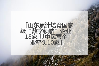 山东累计培育国家级“数字领航”企业18家 其中民营企业牵头10家