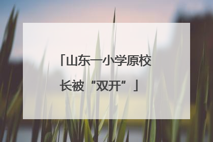 山东一小学原校长被“双开”