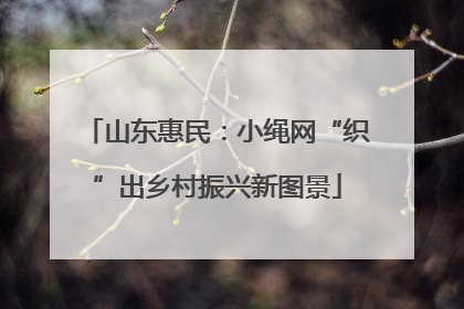 山东惠民：小绳网“织”出乡村振兴新图景