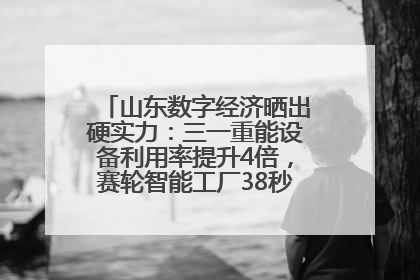 山东数字经济晒出硬实力：三一重能设备利用率提升4倍，赛轮智能工厂38秒生产一条轮胎