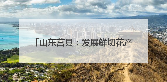 山东莒县：发展鲜切花产业 点亮“美丽经济”