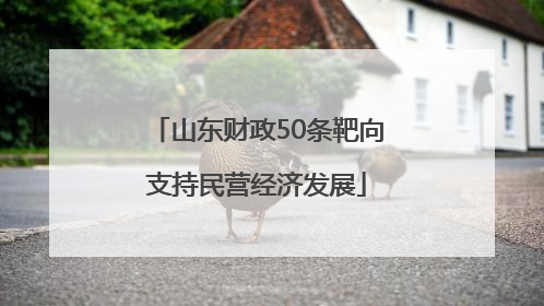 山东财政50条靶向支持民营经济发展