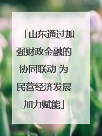 山东通过加强财政金融的协同联动 为民营经济发展加力赋能