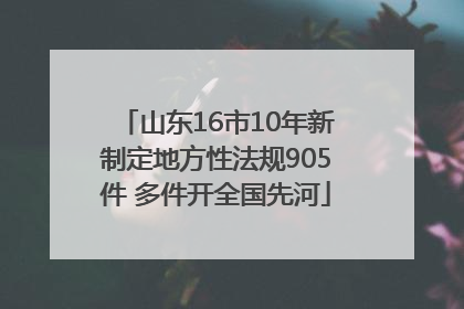 山东16市10年新制定地方性法规905件 多件开全国先河
