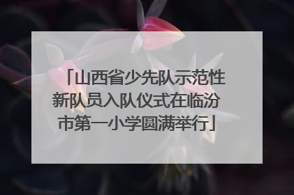 山西省少先队示范性新队员入队仪式在临汾市第一小学圆满举行