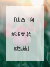山西：向新求变 转型提速