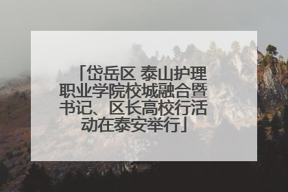 岱岳区 泰山护理职业学院校城融合暨书记、区长高校行活动在泰安举行