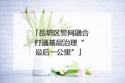 岳塘区警网融合 打通基层治理“最后一公里”