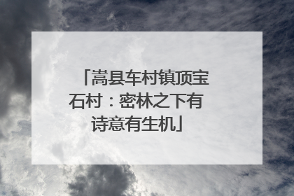 嵩县车村镇顶宝石村：密林之下有诗意有生机