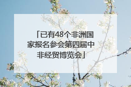 已有48个非洲国家报名参会第四届中非经贸博览会