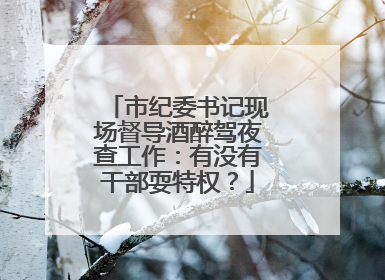 市纪委书记现场督导酒醉驾夜查工作：有没有干部耍特权？