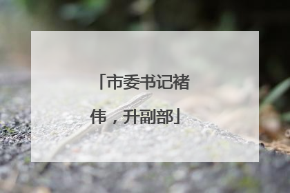 市委书记褚伟，升副部
