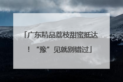 广东精品荔枝甜蜜抵达！“豫”见就别错过