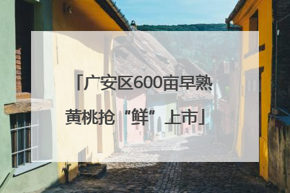 广安区600亩早熟黄桃抢“鲜”上市