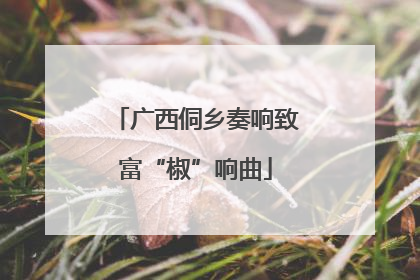 广西侗乡奏响致富“椒”响曲