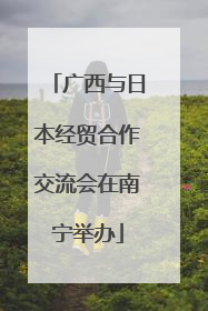 广西与日本经贸合作交流会在南宁举办
