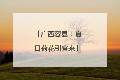 广西容县：夏日荷花引客来