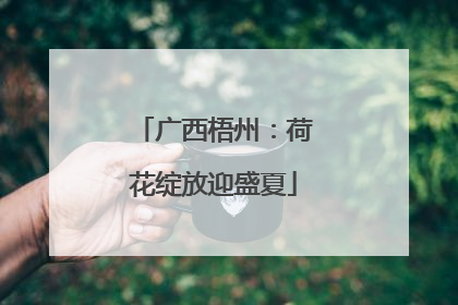 广西梧州：荷花绽放迎盛夏