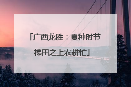 广西龙胜：夏种时节 梯田之上农耕忙