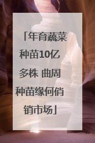 年育蔬菜种苗10亿多株 曲周种苗缘何俏销市场