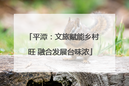 平潭：文旅赋能乡村旺 融合发展台味浓
