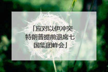 应对以伊冲突 特朗普提前退席七国集团峰会