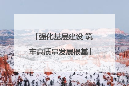 强化基层建设 筑牢高质量发展根基