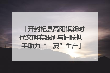 开封杞县高阳镇新时代文明实践所与妇联携手助力“三夏”生产