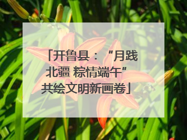 开鲁县：“月践北疆 粽情端午”共绘文明新画卷