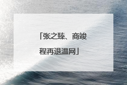 张之臻、商竣程再退温网