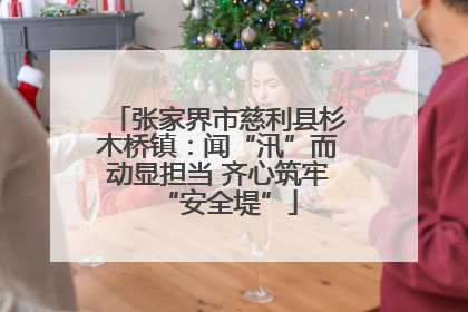 张家界市慈利县杉木桥镇：闻“汛”而动显担当 齐心筑牢“安全堤”