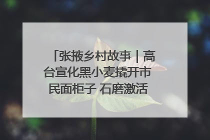 张掖乡村故事｜高台宣化黑小麦撬开市民面柜子 石磨激活村集体钱匣子