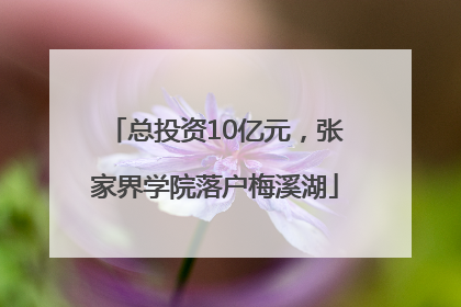 总投资10亿元，张家界学院落户梅溪湖
