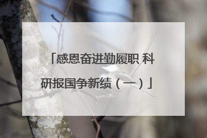 感恩奋进勤履职 科研报国争新绩（一）