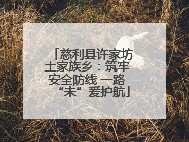 慈利县许家坊土家族乡：筑牢安全防线 一路“未”爱护航